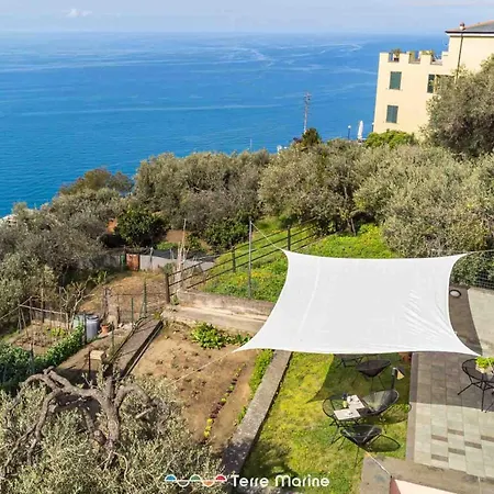 Niria - Salice Volastra